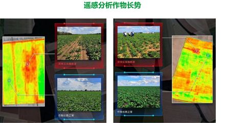 未來(lái)六大農(nóng)業(yè)科技方向 & 15項(xiàng)農(nóng)業(yè)新技術(shù)